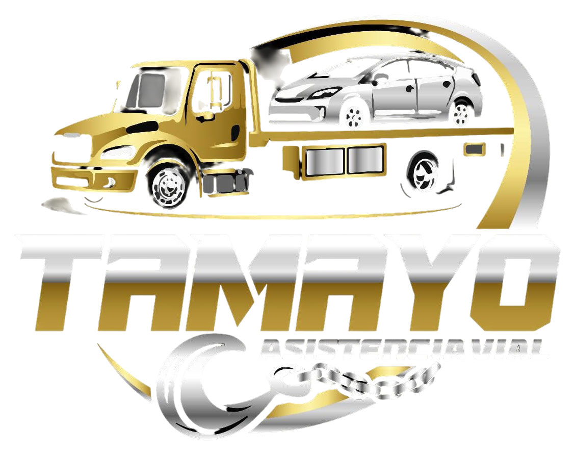 logo-tamayo